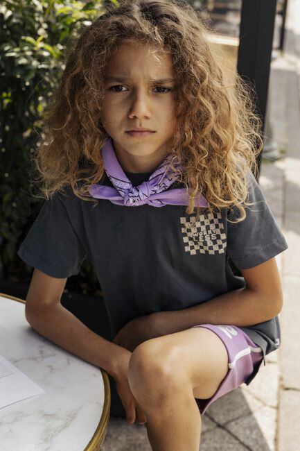 Grijze AMMEHOELA T-shirt AM.ZOE.63 - large