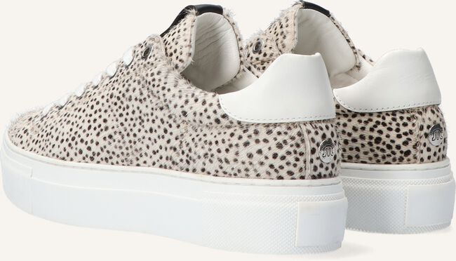 Beige MARUTI Sneakers TED Beige MARUTI Sneakers TED - large