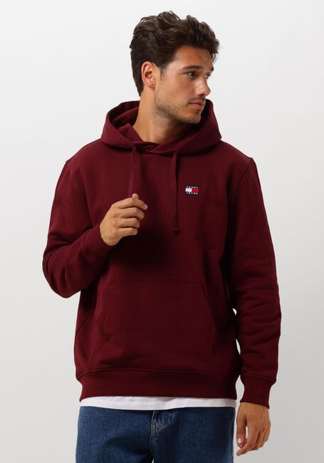 TOMMY JEANS Pull TJM REG BADGE HOODIE EXT en violet - large