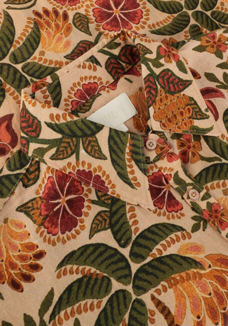 Multi NOTRE-V  NV-DINA Multi NOTRE-V  NV-DINA - large