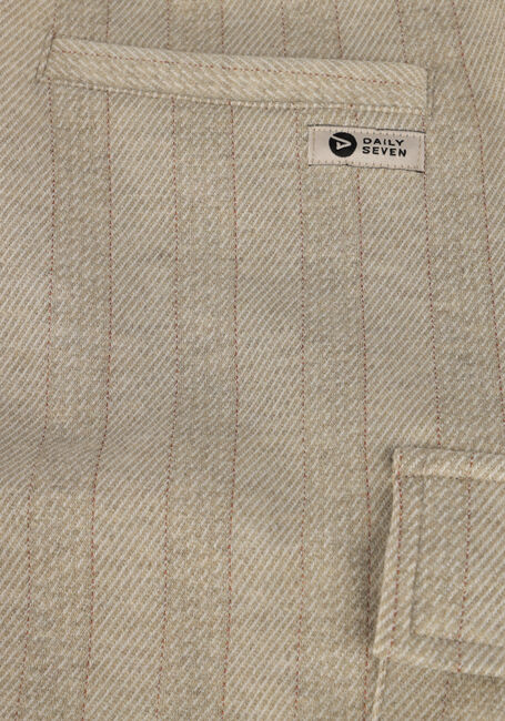 Grijze DAILY7 Korte broek CHECK CARGO SHORT - large