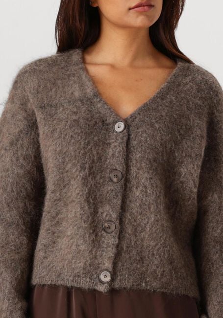 Bruine GESTUZ Vest GZDEBBIE CARDIGAN - large