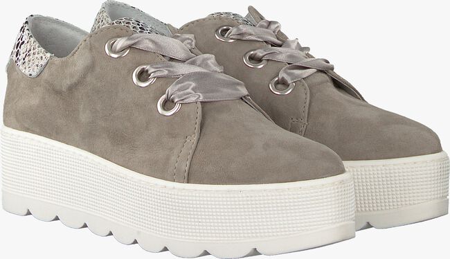 ROBERTO D'ANGELO Chaussures à lacets 605 en taupe  - large