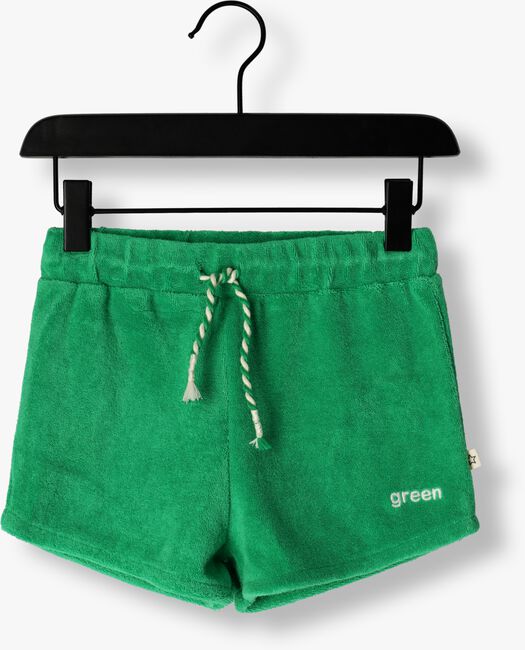 Groene YOUR WISHES Shorts TERRY AMAL - large