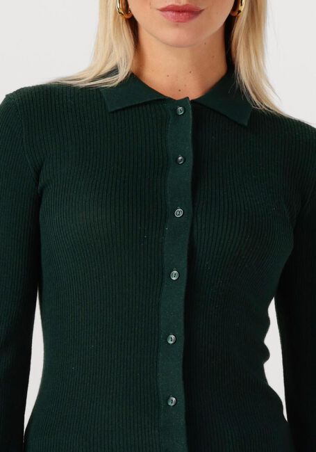 Donkergroene MODSTRÖM Trui HIROKIMD CARDIGAN - large