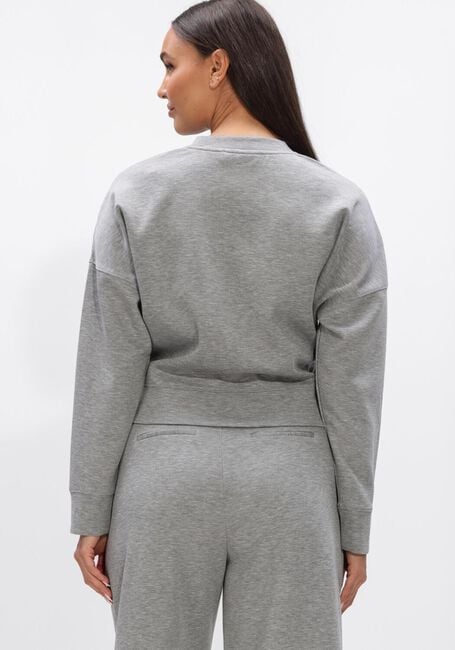 CO'COUTURE LANCE BELT SWEAT Pulls & Gilets en gris - large