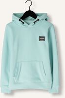 INDIAN BLUE JEANS Chandail HOODIE INDIAN BRUSHED en vert INDIAN BLUE JEANS Chandail HOODIE INDIAN BRUSHED en vert - medium