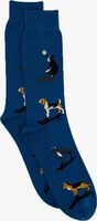 ALFREDO GONZALES DOGS Chaussettes en bleu - medium