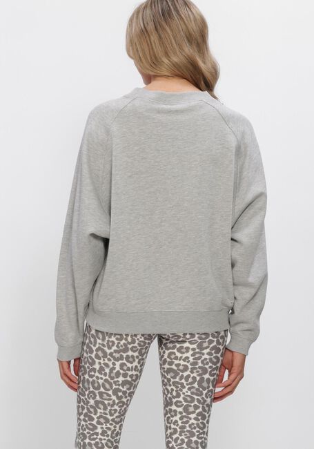 DEBLON SPORTS Chandail VIVE SWEATER en gris - large