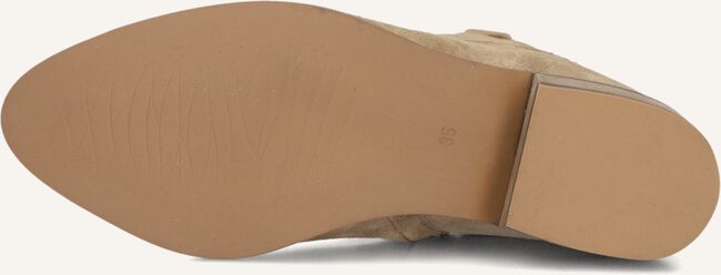 Bruine WYSH  NOLIA Bruine WYSH  NOLIA - large