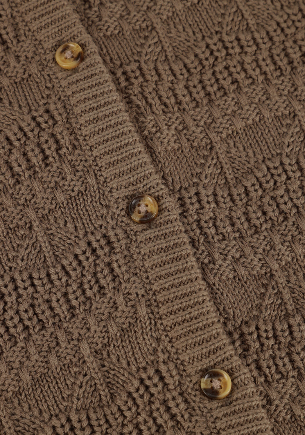 Bruine BAJE STUDIO  MORGINS - large