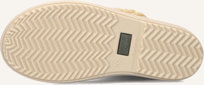 Groene IGOR  SPLASH DK BORREGUITO Groene IGOR  SPLASH DK BORREGUITO - large