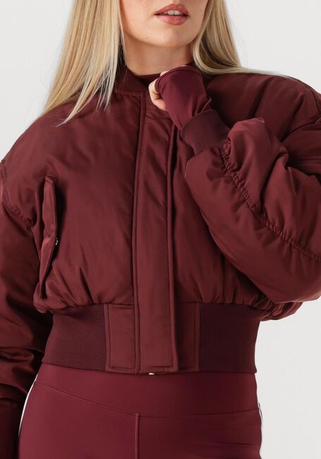 THE LOLA CLUB Jack LEAH Bordeaux - large