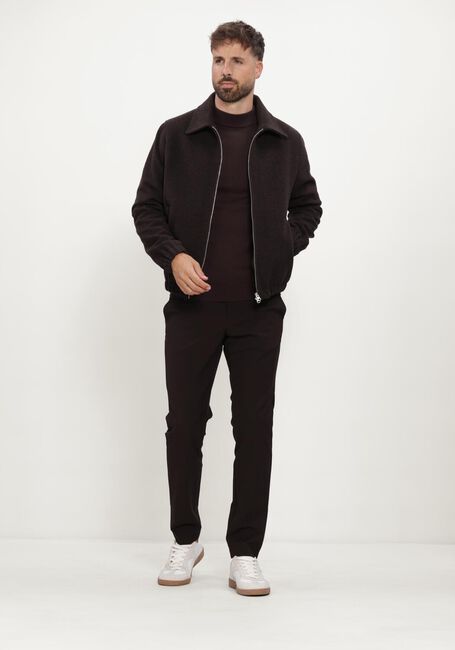 Bruine STEFANO LAURAN Jack SL-CAIUS - large