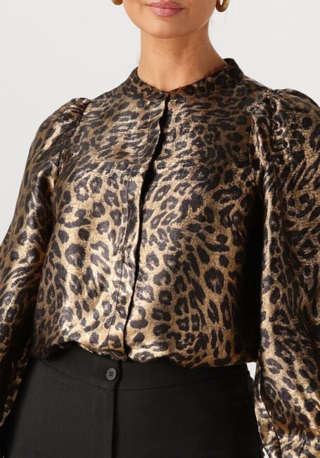 Bruine FREEBIRD  BORELLA - large