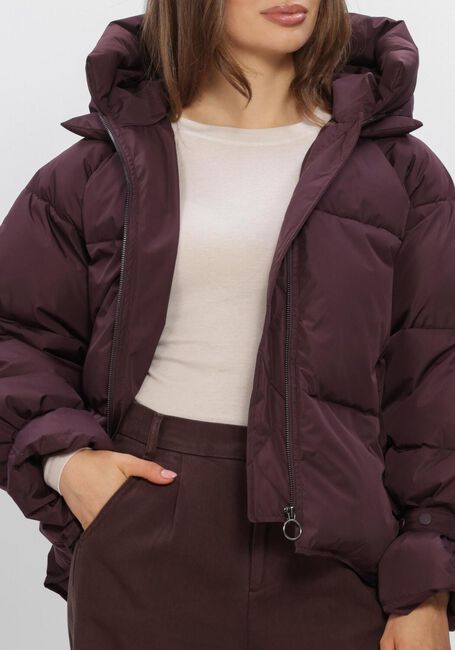 Bordeaux WITHBLACK Gewatteerde jas WBLKYLIE REAL DOWN JACKET - large