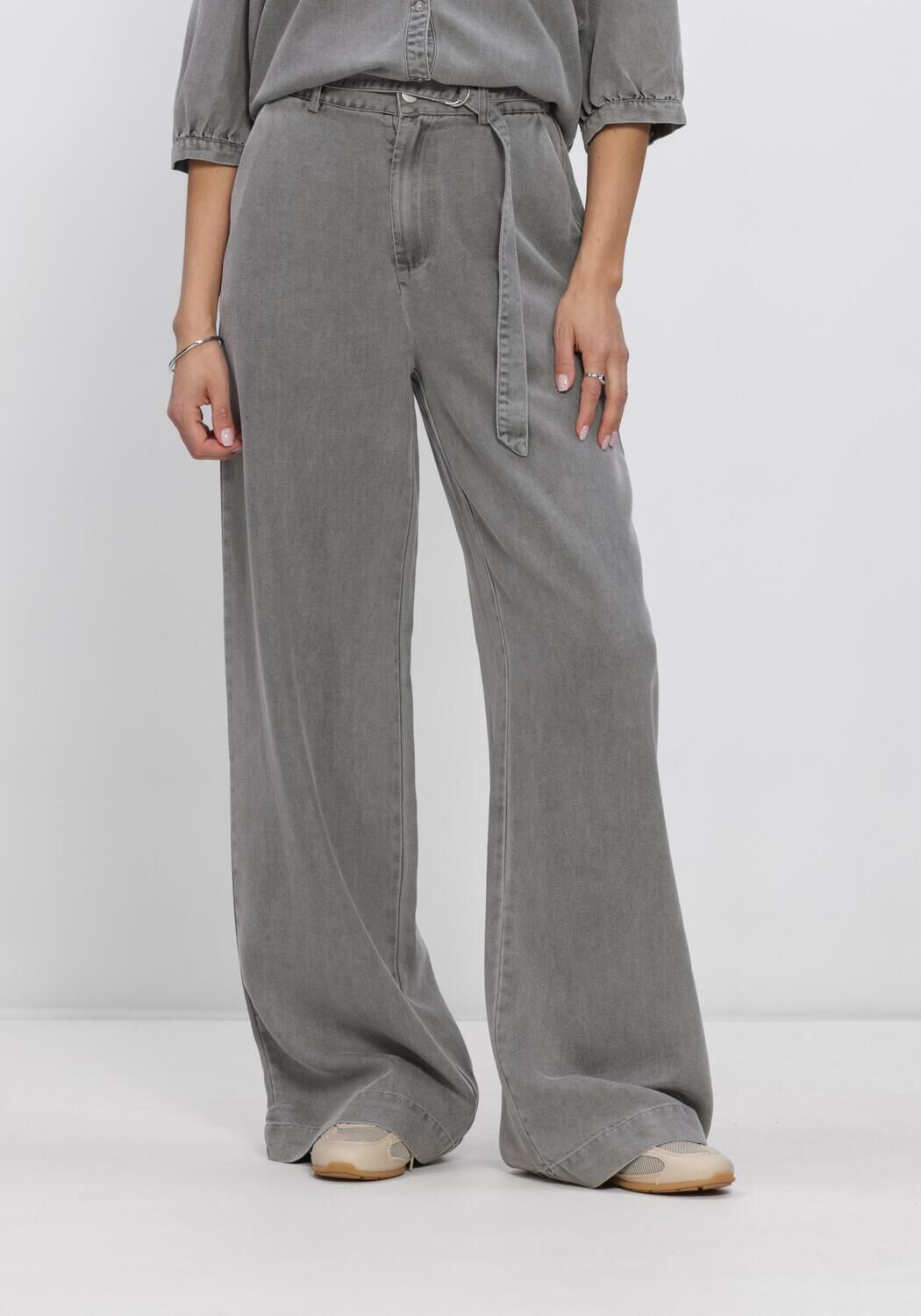 FREEBIRD DNM-TENCELL-BLACK-26-1 Pantalons en gris - large