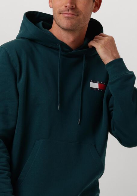 TOMMY JEANS TJM REG ESSENTIAL FLAG HOOD EXT Pulls & Gilets en vert - large