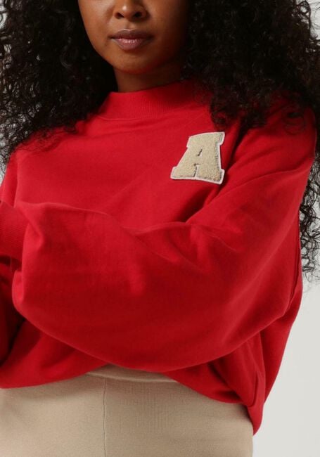 Rode ANOTHER LABEL Trui A- SWEATER L/S - large
