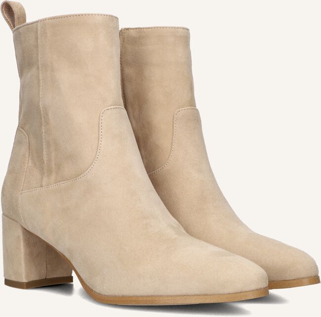 NOTRE-V 8543 NOTRE-V 8543 - large