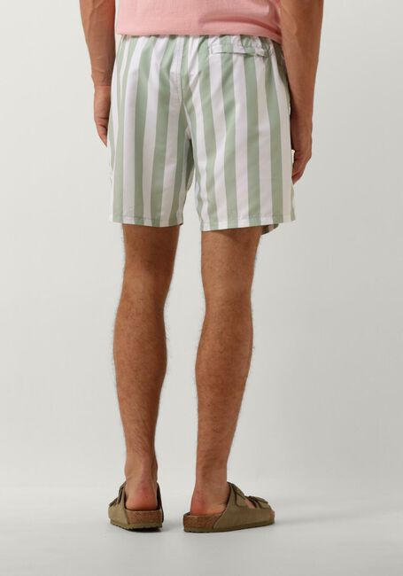 SHIWI Shorts de bain MEN SWIMSHORT BROAD STRIPE en vert - large