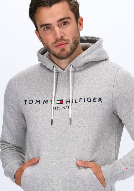 TOMMY HILFIGER Chandail TOMMY LOGO HOODY Gris clair - large