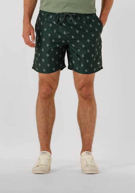 SHIWI Shorts de bain MEN MIKE SWIM SHORTS 7 INCH SKETCHED CORAL en vert - large