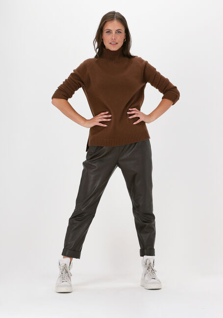 Bruine BELLAMY Coltrui NOORTJE - large