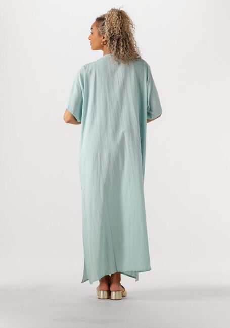 Lichtblauwe WILD Maxi jurk ANNIE - large