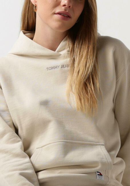 TOMMY JEANS Chandail TJW RLX SMALL CLASSIC HOODIE EXT en beige - large