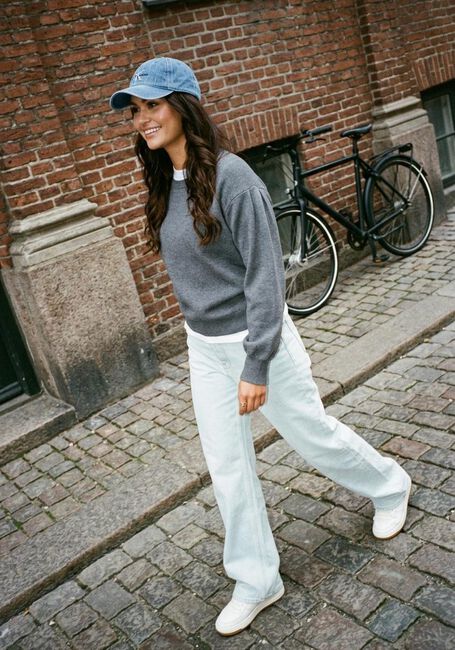 Lichtblauwe REPLAY Wide jeans LAELJ PANTS - large