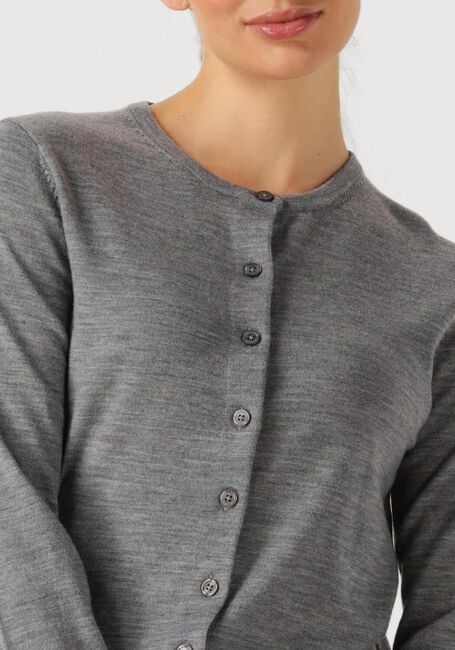 Grijze SELECTED FEMME Vest SLFTHEA LS KNIT MERINO CARDIGAN - large