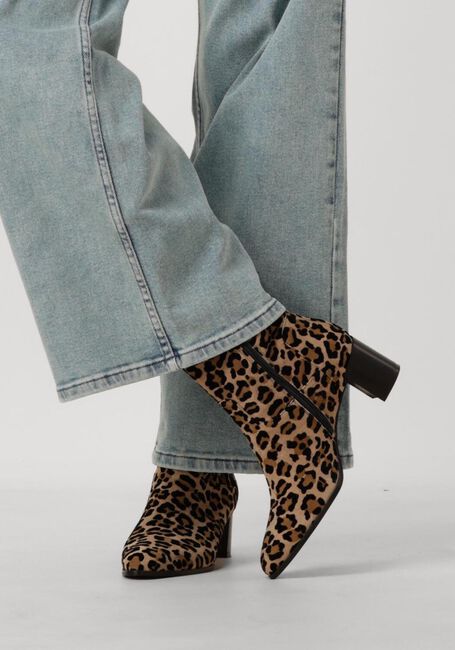 NOTRE-V 8543 NOTRE-V 8543 - large