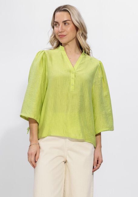 Lime AAIKO  DAHLIA VIS 532 - large