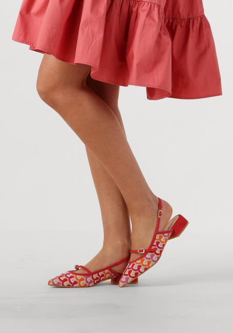 Multi LODI  AMISANTI-X - large