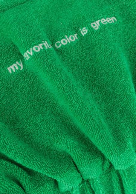 Groene YOUR WISHES Top TERRY IVY - large