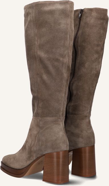 Taupe NOTRE-V  5535 Taupe NOTRE-V  5535 - large