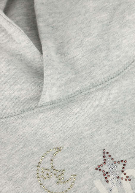 Grijze ZADIG & VOLTAIRE Sweater X60327 - large