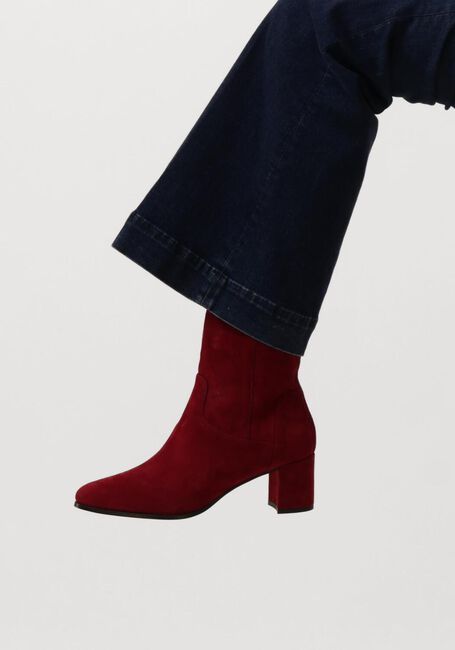 NOTRE-V 8543 NOTRE-V 8543 - large