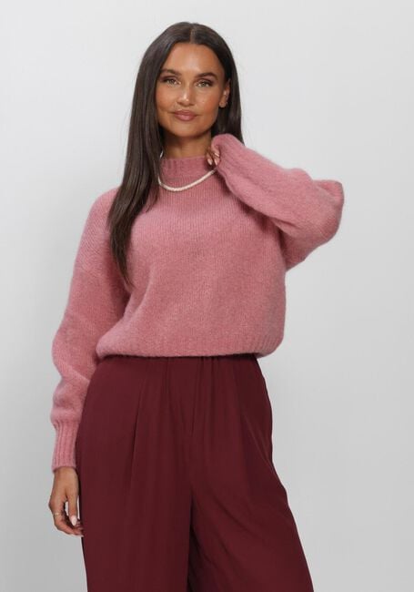 Roze BY-BAR Trui SONNY PULLOVER - large