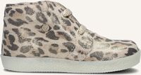 Beige FALCOTTO Sneakers CONTE - medium