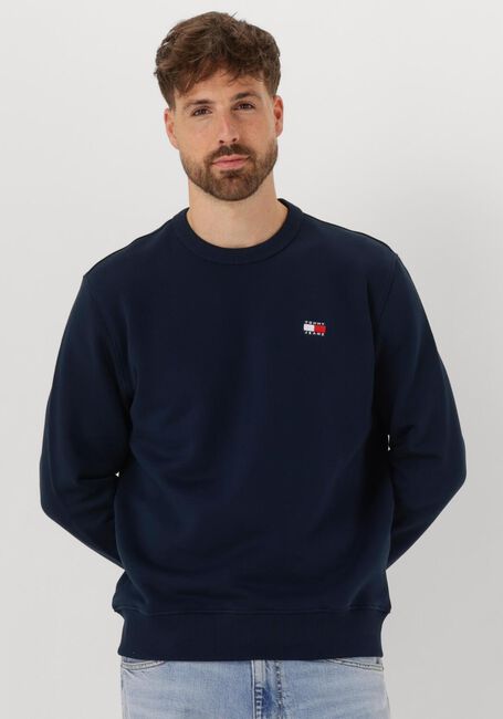 TOMMY JEANS Pull TJM REG BAGDE CREW EXT Bleu foncé - large
