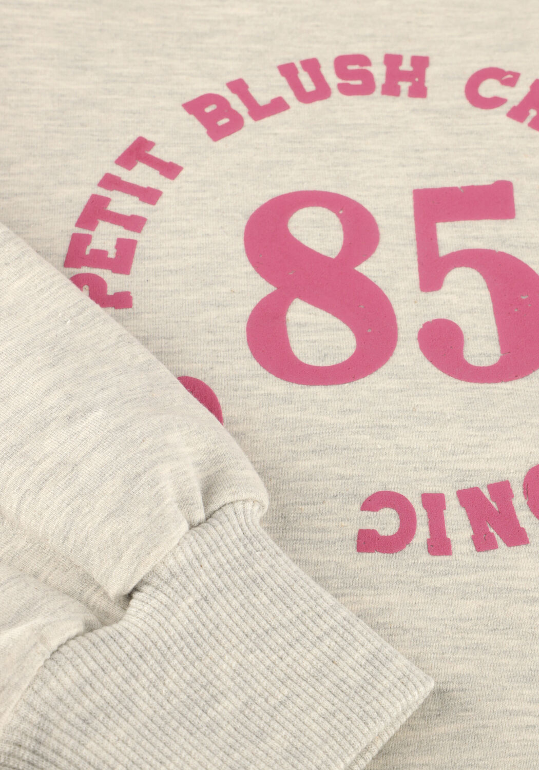 Lichtgrijze PETIT BLUSH Sweater HOODED SWEATER - large