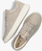 Grijze TON & TON Lage sneakers FELIPE - medium