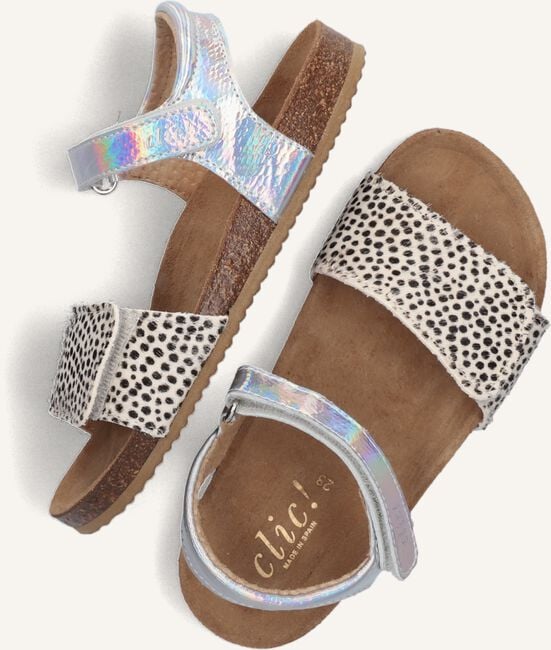 CLIC! CL-GRASS CLIC! CL-GRASS - large