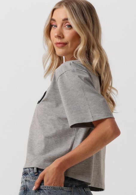 Grijze CO'COUTURE T-shirt EDUARDA LOGO TEE - large