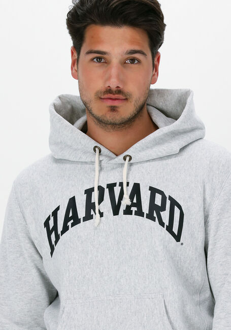 Lichtgrijze CHAMPION Sweater HOODED SWEATSHIRT 218030 - large