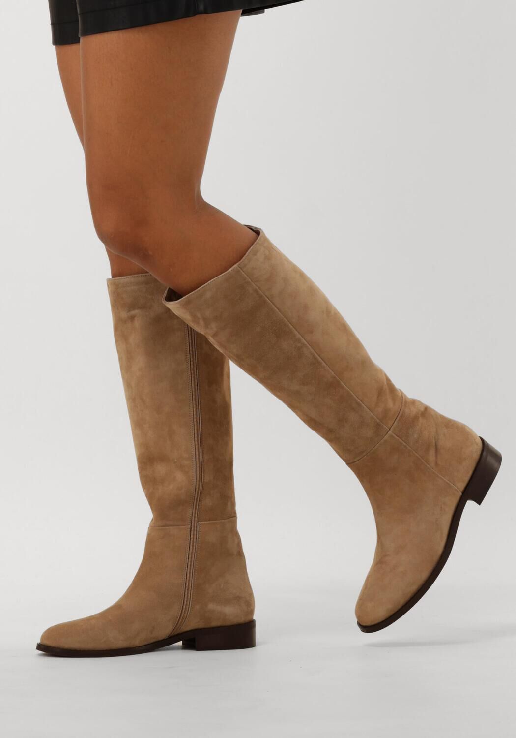 Taupe NOTRE-V  3496 - large