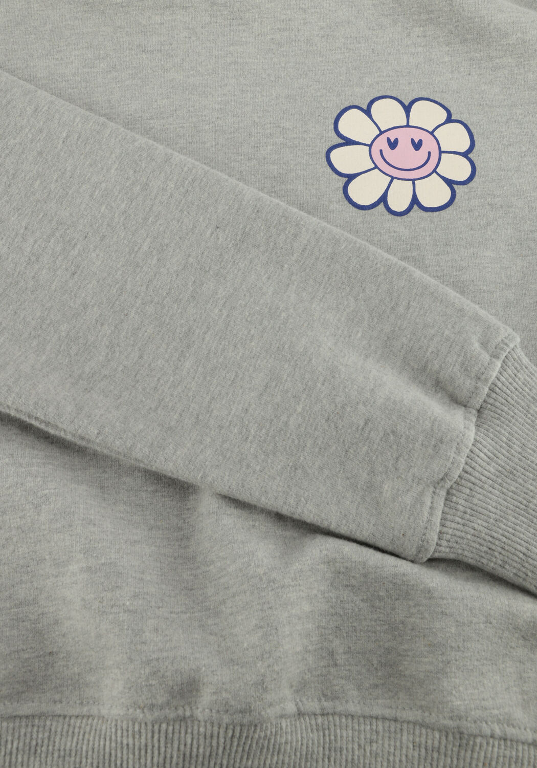 THE NEW Chandail TNSOFFI en gris - large