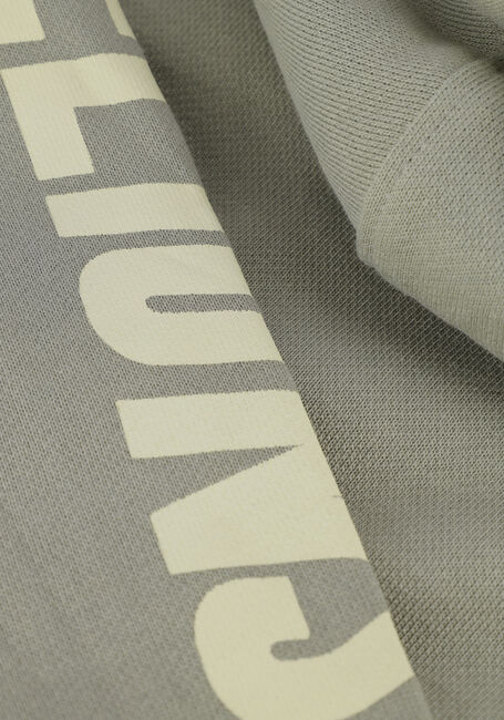 MALELIONS Chandail MALELIONS JUNIOR LECTIVE HOODIE en taupe - large